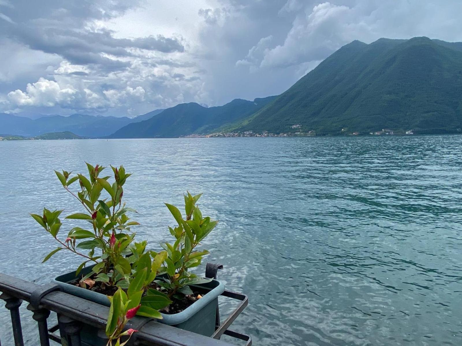 Argegno'S River - Central Apartment Lake View الغرفة الصورة